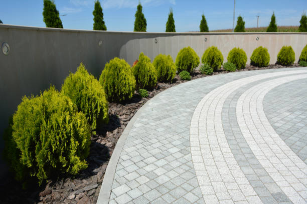 Best Professional Driveway Pavers  in Governors Clu, NC